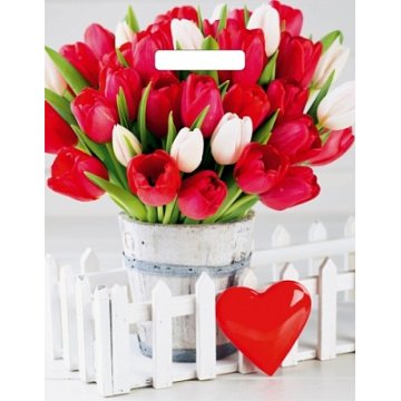 31х40(60) Пакет ПЭ с выр.ручкой глянец Белиция