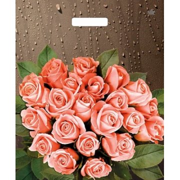 38х45+6(60) Мешки(пакеты) ПЭ с выр.ручкой глянец Розы после дождя