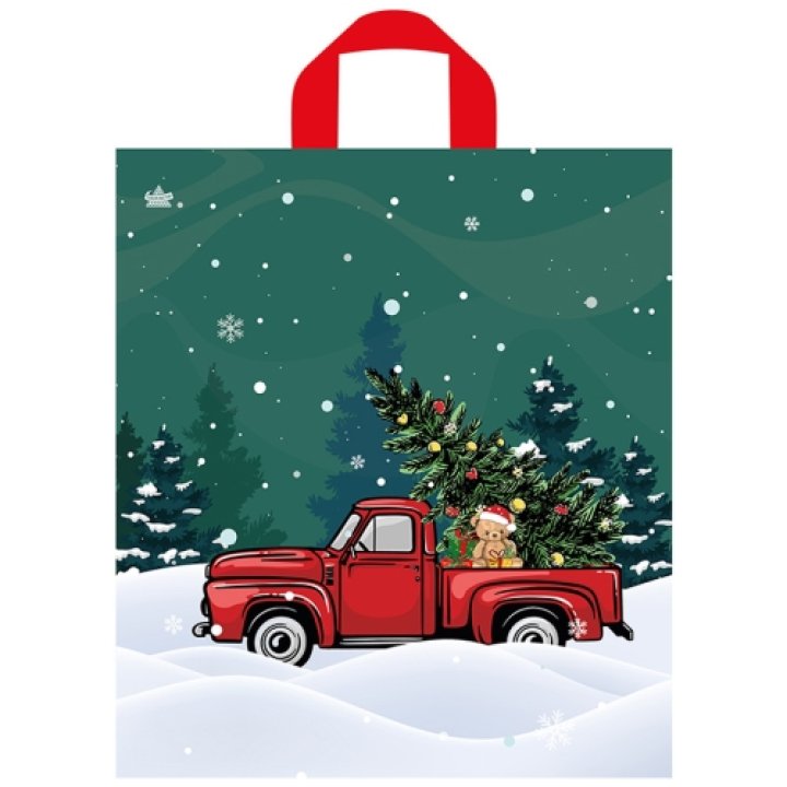 42x38(37) Пакет ПЭ с петл.ручкой НГ Праздник в пути