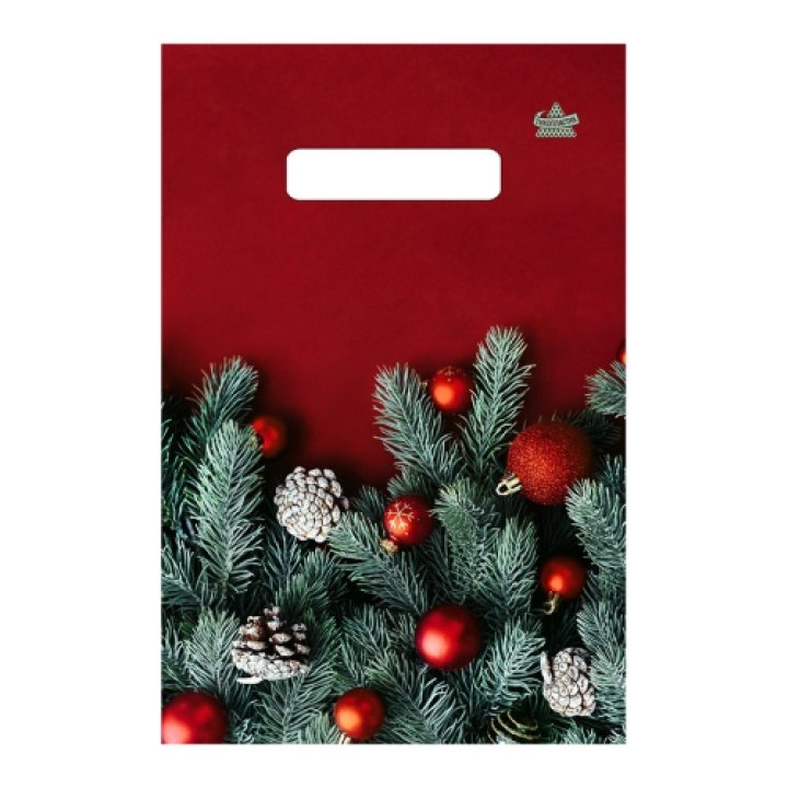 20x30(30) Пакет ПЭ с выр.неусил.ручкой НГ Магия цвета