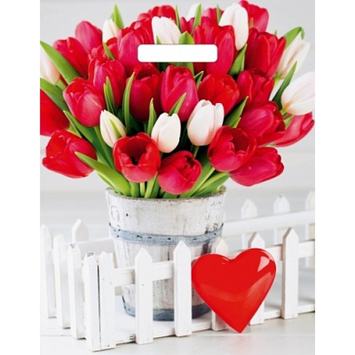 31х40(60) Пакет ПЭ с выр.ручкой глянец Белиция