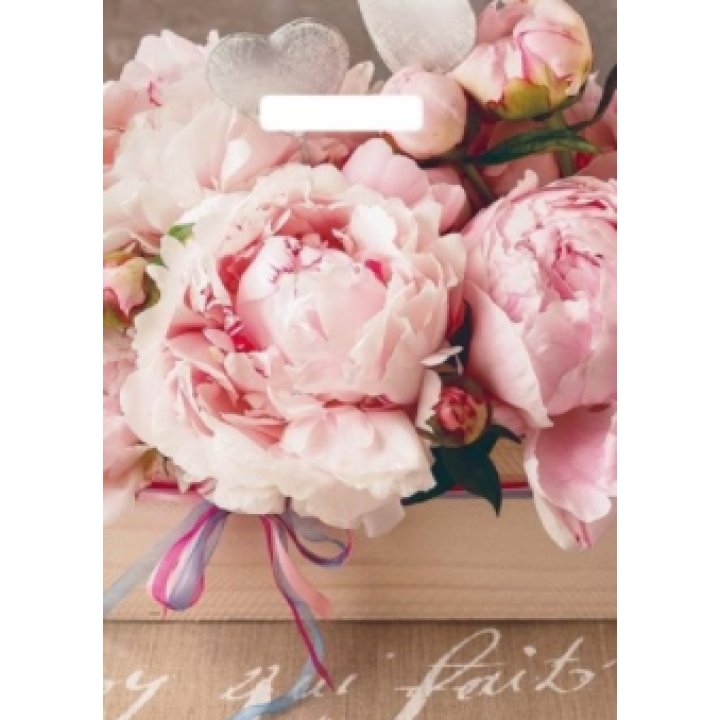 29х40(35) Пакет ПЭ с выр.ручкой Бенефис